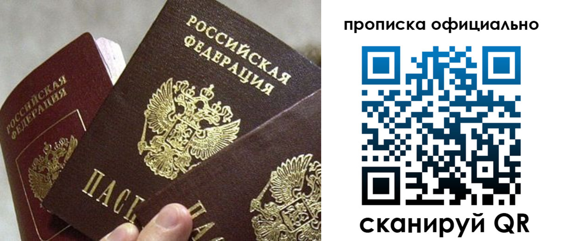 прописка гарантия в Домодедово